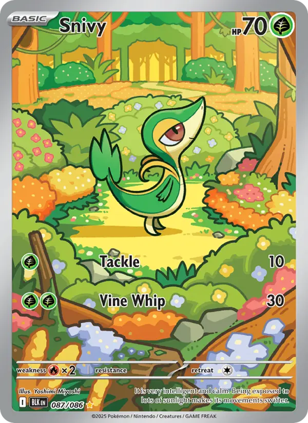 Snivy from sv10.5b