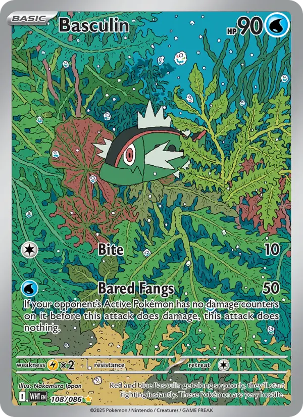 Basculin from sv10.5w