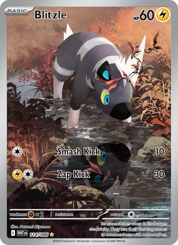 Blitzle Pokemon card from White Flare