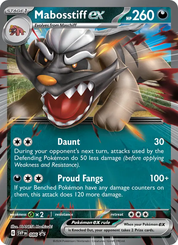 Mabosstiff ex from svp