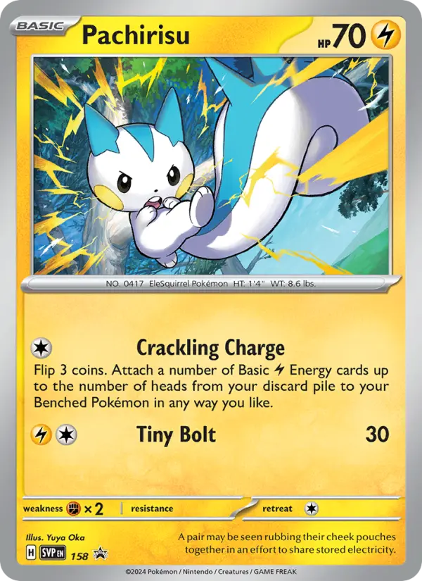 Pachirisu from svp