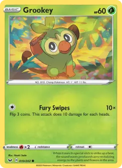 Sword & Shield card #10