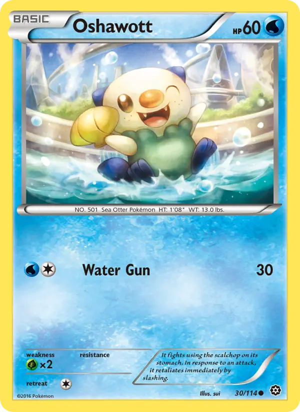 Oshawott from xy11