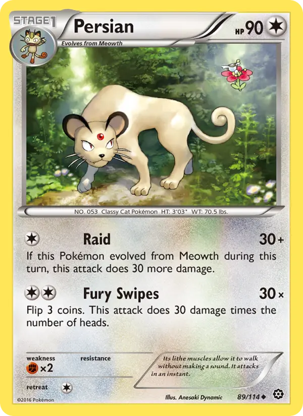 Persian from xy11