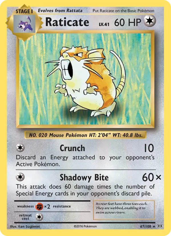 Raticate from xy12