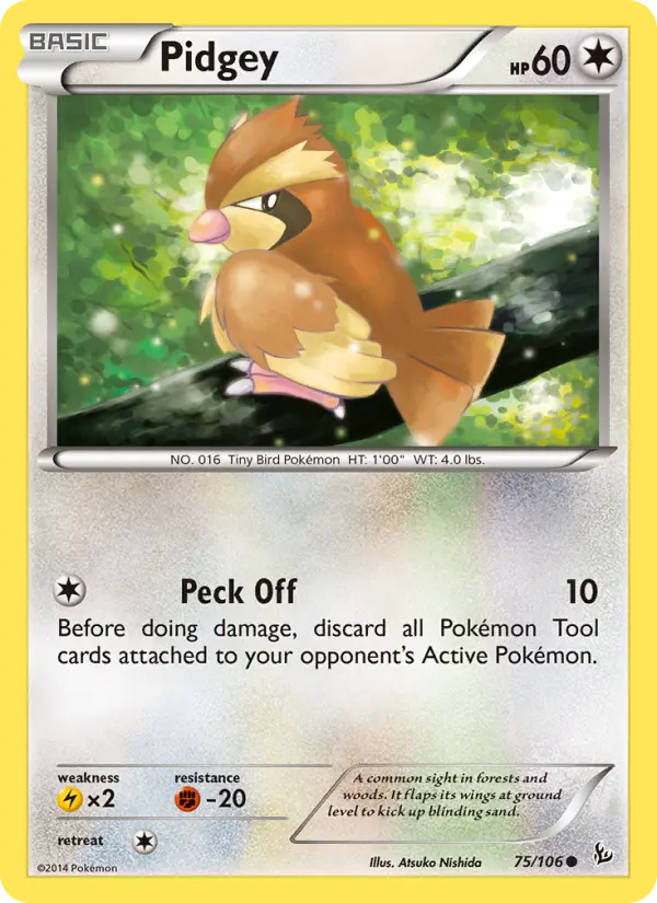 Pidgey from xy2