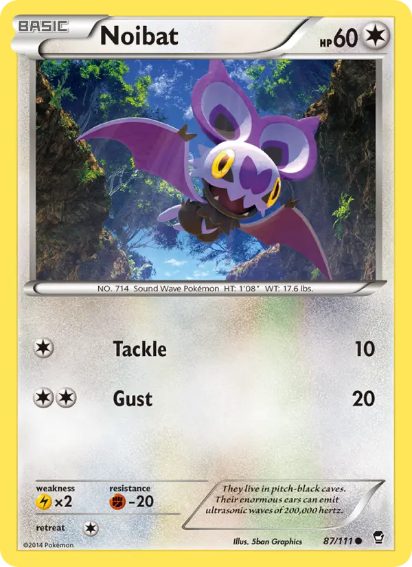 Noibat from xy3