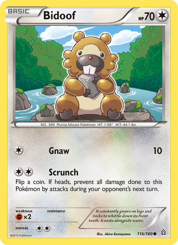 Bidoof from xy5