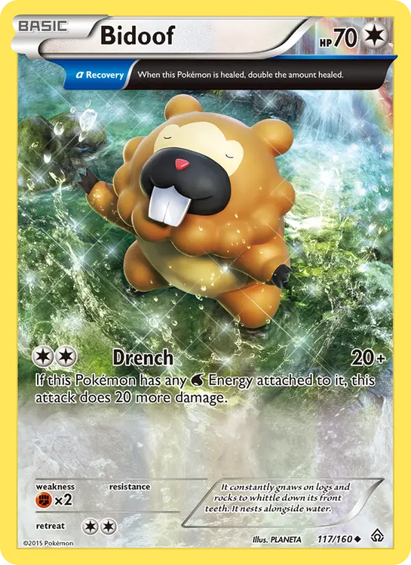 Bidoof from xy5