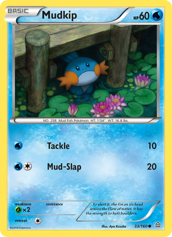 Mudkip from xy5