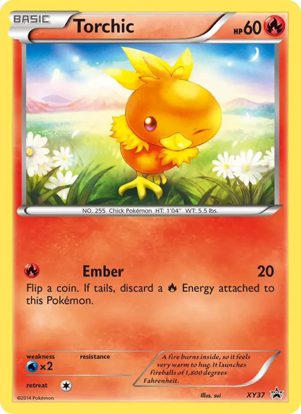 Torchic Pokemon card from XY Black Star Promos