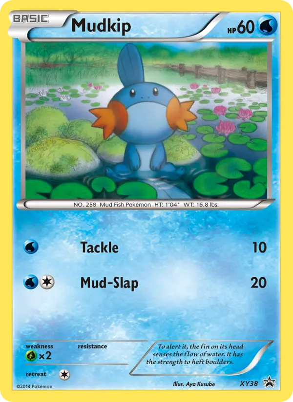 Mudkip from xyp